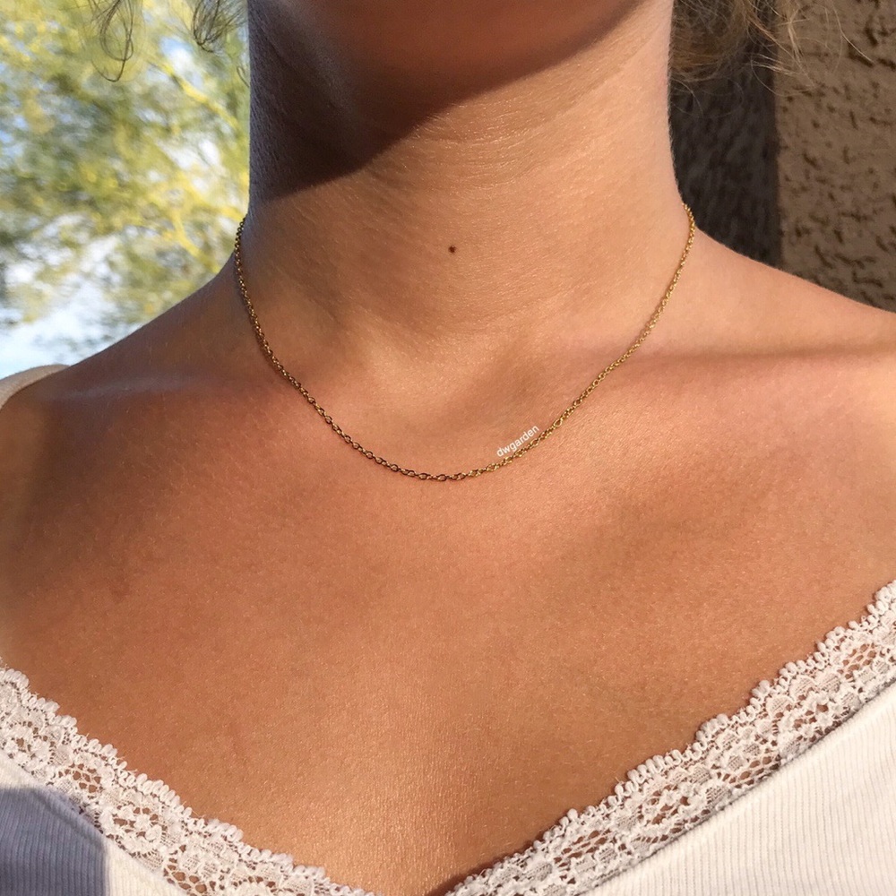 Thin Gold Chain Necklace
